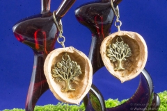 schmuck, schale, ohrring