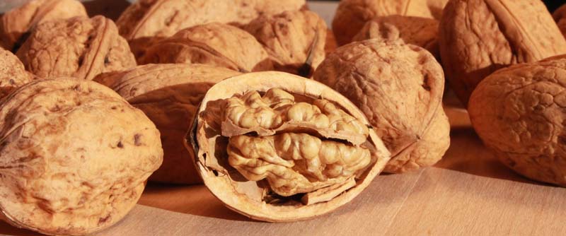Walnüsse